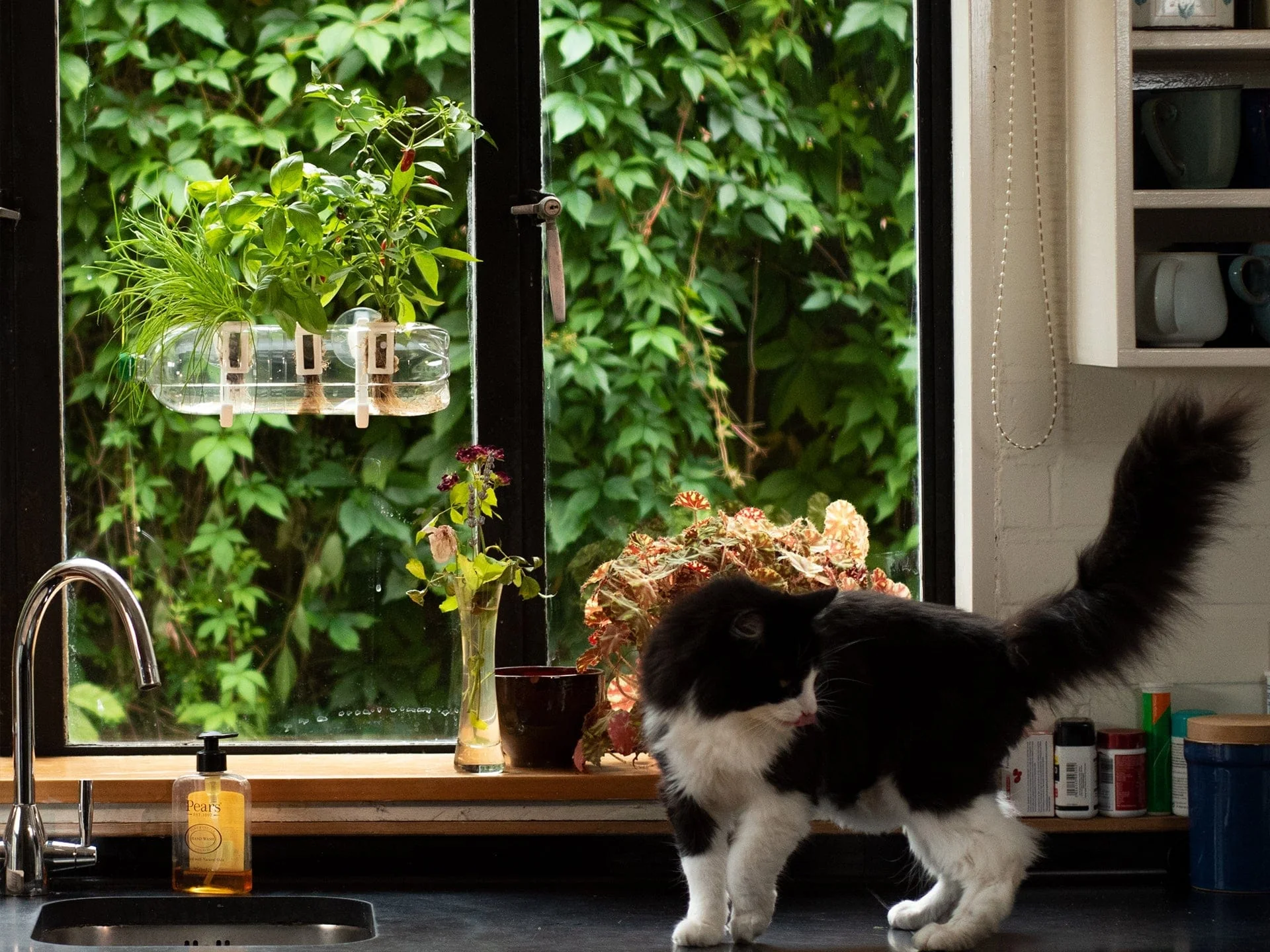 Welcome to Our Store